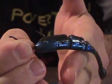 PowerTeam Lures Finicky Tickler/JP Hammer Shad Drop Shot Correction