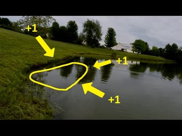 Spawning Bass Honey Hole! - Spring 2015