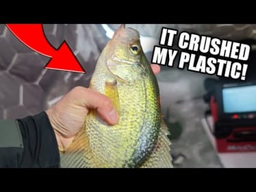 MICRO Plastics Catch MONDO Crappie (First Ice 2022)