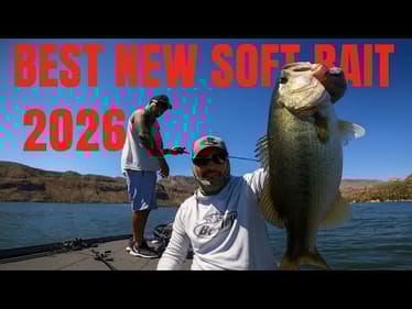 This Is The Best NEW Soft Bait for BIG Fish!!