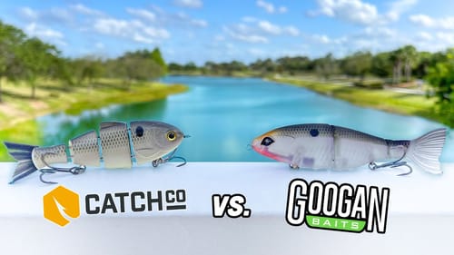 Best BUDGET Swimbait! (Unbeatable!)