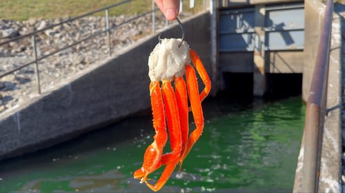 Catching a Spillway MONSTER in the Most EPIC Way Possible!!!