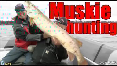 Muskie hunting on Bass LIVE with Dave Mercer and Davy Hite