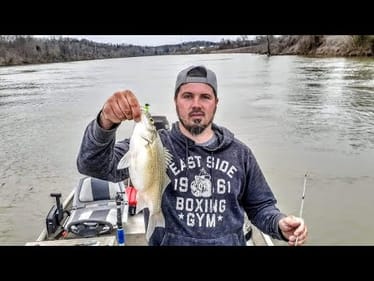 CHASING WHITE BASS UP THE TN RIVER  || NEARLY 100 FISH CAUGHT ||