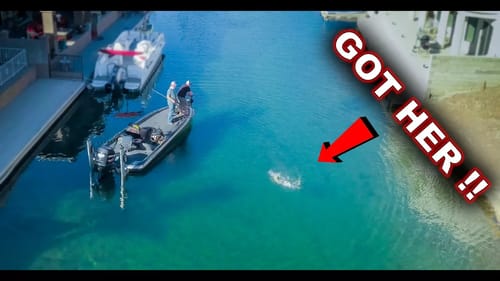 Big Bass Live Where?! Pre Spawn Road Trip!
