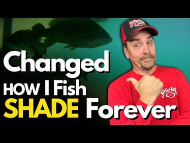 The 1 Question Every Bass Angler Needs to Ask About Low Light