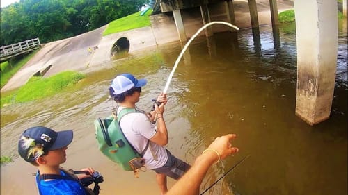 MONSTER CATFISH from a FLOODED CITY CREEK!!!