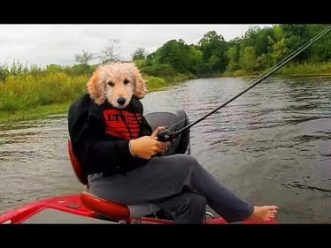 When Your DOG Goes Fishing...