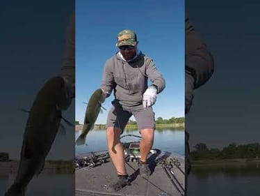 Find SUMMER Bass FAST