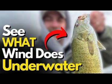 Underwater Footage of HOW Wind Affected These Smallmouth