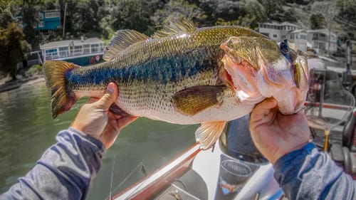 How To Catch GIANT Bass **Day on the Water**