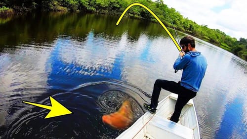 The STRANGEST CREATURE pulled from the DEEP!! (WEIRD)