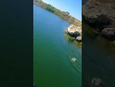 BIG bass smokes my baits! #fishing