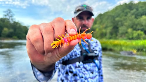 Did This Lure Really Work Here?