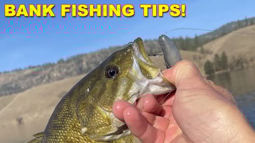 Critical Bank Fishing Tips | Bass Fishing