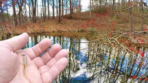 Catch THE Absolute FIRE Out Of Crappie With This Jig!