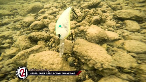 Jenko Fishing CD25 Deep Diving Crankbait Underwater
