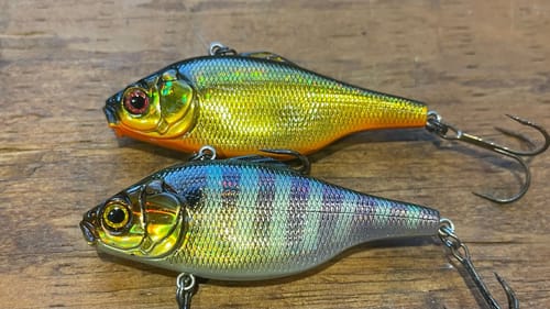 My Secret Slow-Rolled Lipless Crankbait Technique…(My Biggest 5 Fish Limit)