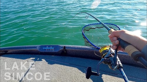 Light Tackle for some CRAZY Fighting Bass! (Solo Smallmouth Hunt)