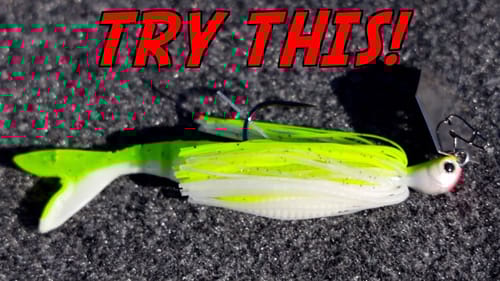 Where Do Bass Go in the Spring and How To Catch Them!