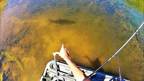INSANE FARM POND has GIANT FISH!!!