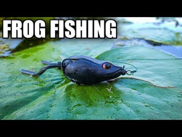 Bank Fishing with the River2Sea Bully Wa 2 Frog (Blowups and Review)