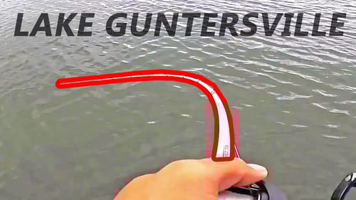 Catching MONSTER BASS on LAKE GUNTERSVILLE! (Fishing Fast)
