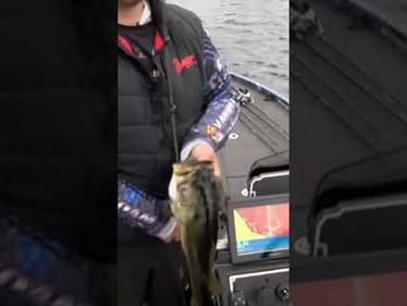 Last second big catch for Bo Thomas