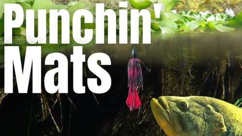 6 PUNCHIN' TIPS That Will Make You Better At MAT FISHING For BASS