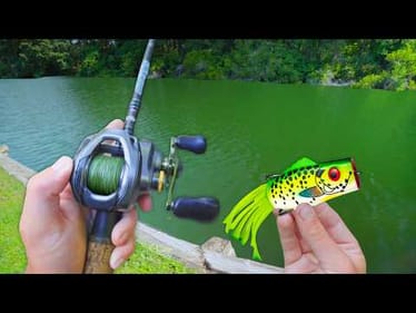 Topwater ONLY Day Fishing Small PONDS! (Bank Fishing)