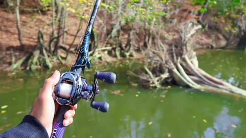 HIDDEN Creek is LOADED w/ Bass (Fishing for River Monsters Ep.1)