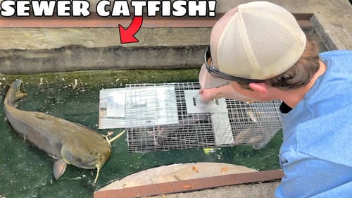 I Finally TRAPPED The SEWER MONSTER!