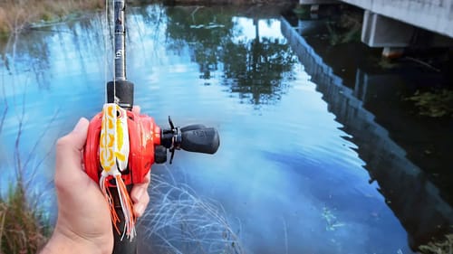 FROG Fishing Ultra CLEAR Pond! (Bank Fishing)