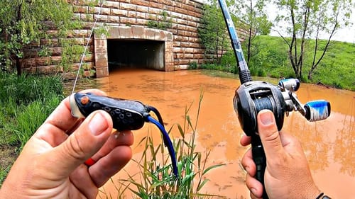 I CAN'T BELIEVE what we Caught in these FLOODED Ponds!!