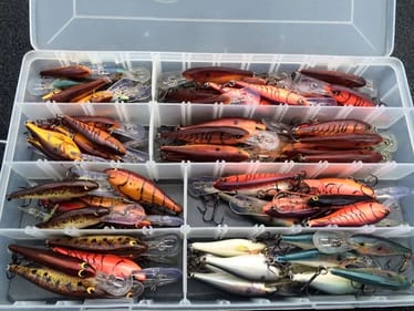 Rapala Shad Rap Selection: What's the Right Size for the Situation