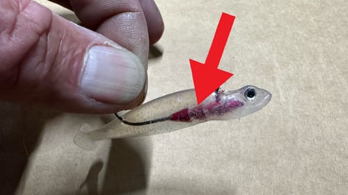 The New “Bloodline Hover Rig”…My Epic Day On Table Rock With It..