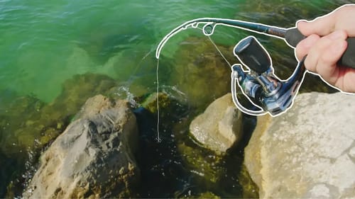 Catching and Eating Fish Found in ROCKS!?