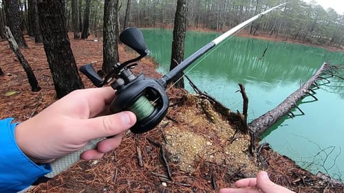 Almost Hit By TREE While Fishing SECRET POND - CLOSE CALL Exploring 20 Year Old Fishing Hole