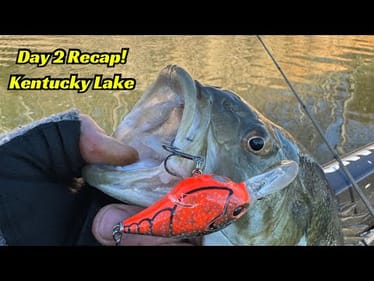 Day 2 Recap Kentucky Lake Bassmaster Open!