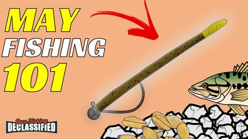 DON'T Go Fish Without These Baits In May!