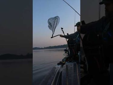 That Net Flip is 🔥