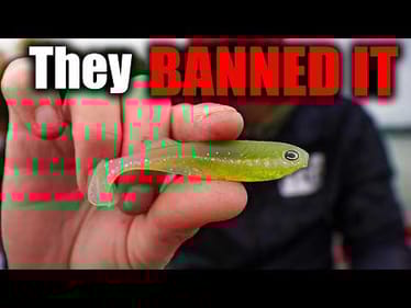 The Rig PROS Can’t Use in Tournaments — But YOU Can!