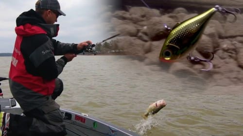 Fishing Lipless Crankbaits for Springtime Bass