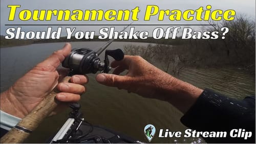 Should You Shake Fish Off During Practice? | FTM Livestream #84
