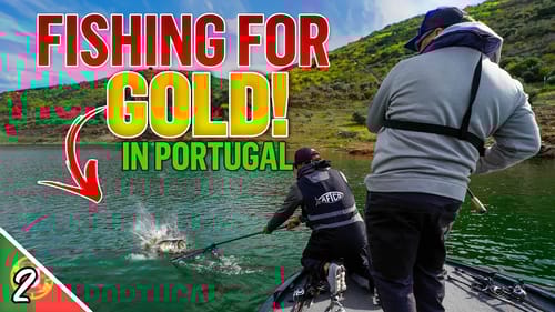 Fishing for Portuguese GOLD!! - Team USA Official Practice  (Black Bass World Championships 2023)