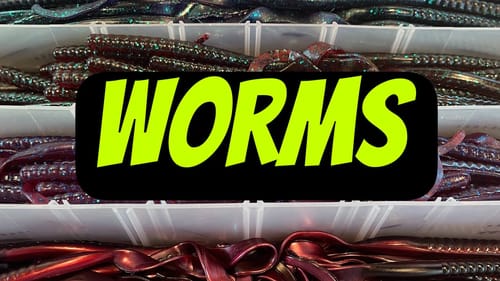 WORMS