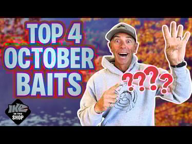 🔥TOP 4 Baits for OCTOBER (Fall Bass UNLOCKED)🎣