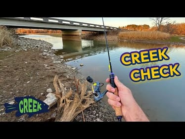It's  "Creek Check"  Time