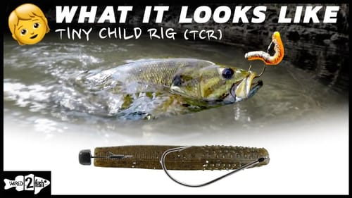 Fishing the Tiny Child Rig | What it Looks Like Underwater
