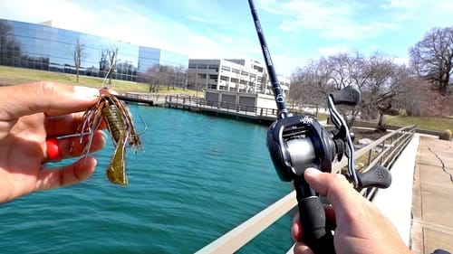 Bank Fishing NEW Urban Ponds!! (KICKED OUT)